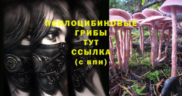 круглые Кодинск