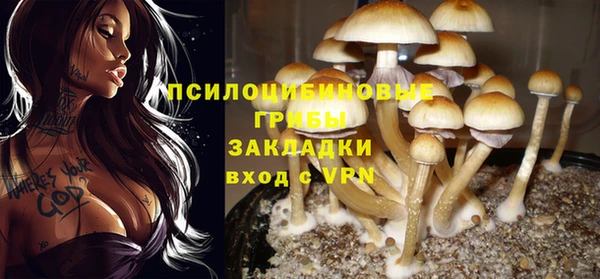 ПСИЛОЦИБИНОВЫЕ ГРИБЫ Коряжма