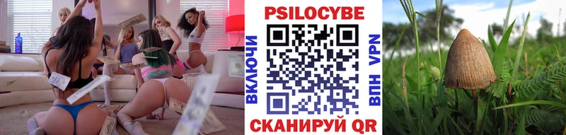 Псилоцибиновые грибы мицелий Богучар